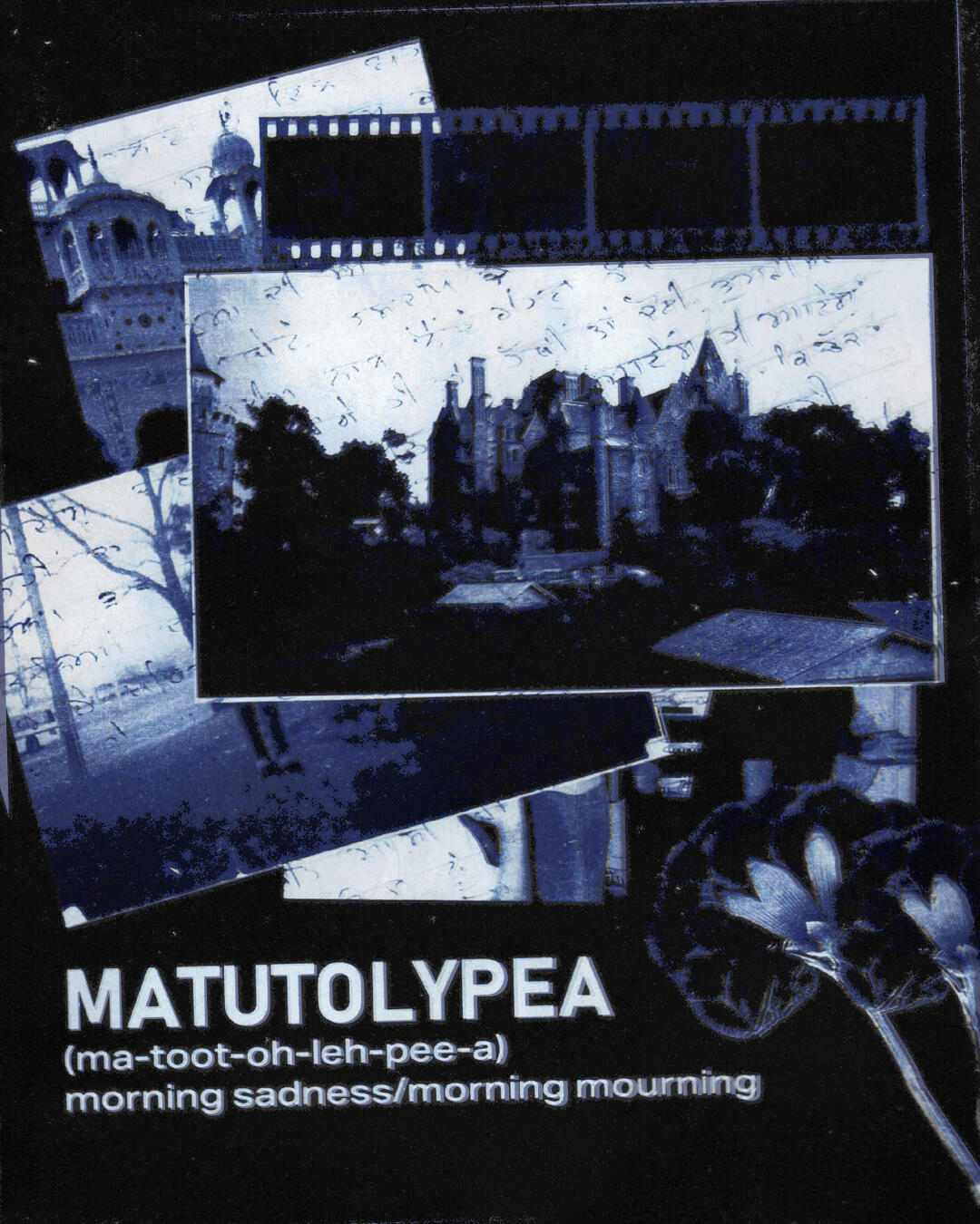 Matutolypea: 1/3