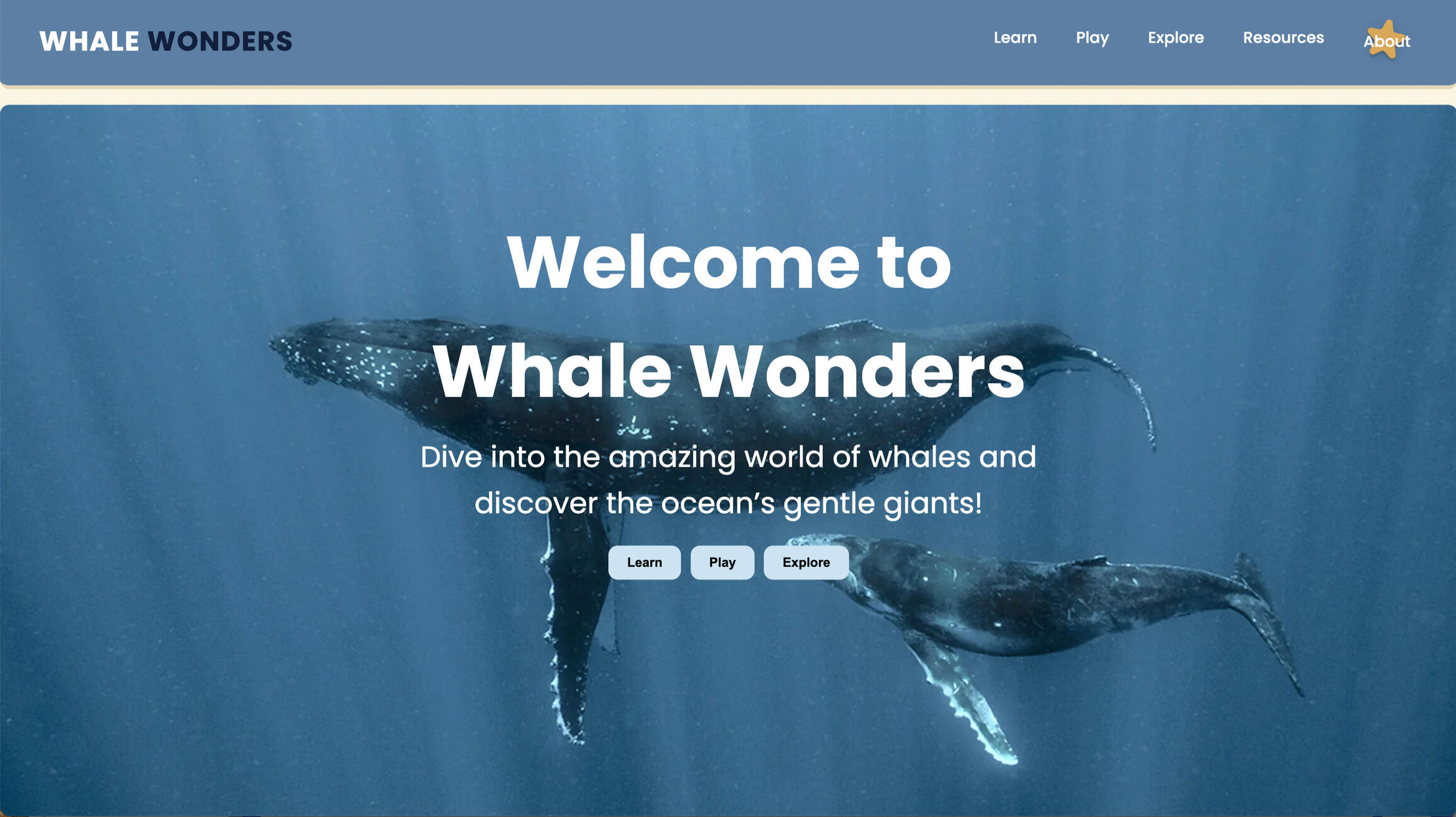 Whale Wonders