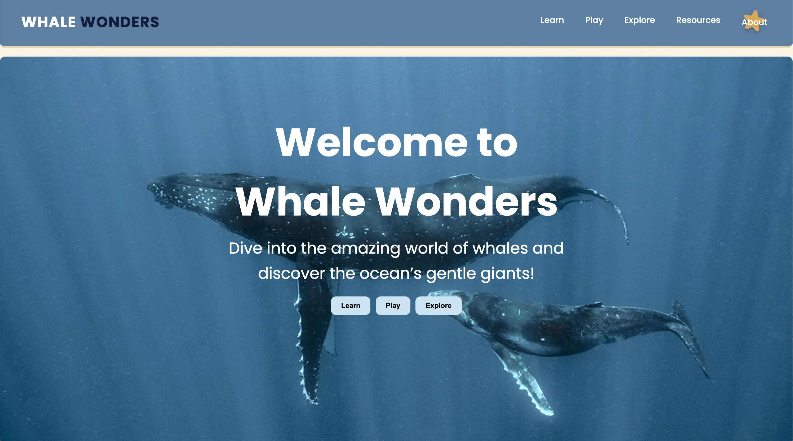 Whale Wonders